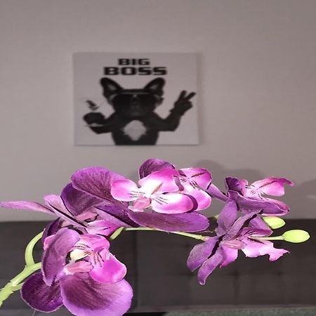 Apartment Am Ring โบคุห์ม ภายนอก รูปภาพ