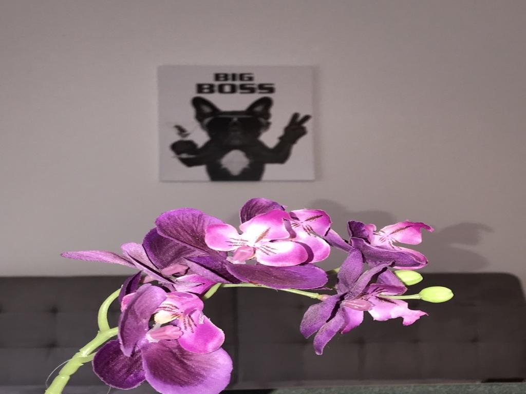 Apartment Am Ring โบคุห์ม ภายนอก รูปภาพ